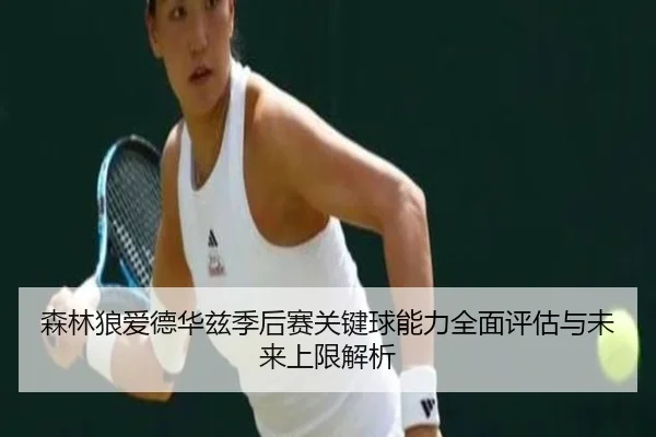 森林狼爱德华兹季后赛关键球能力全面评估与未来上限解析
